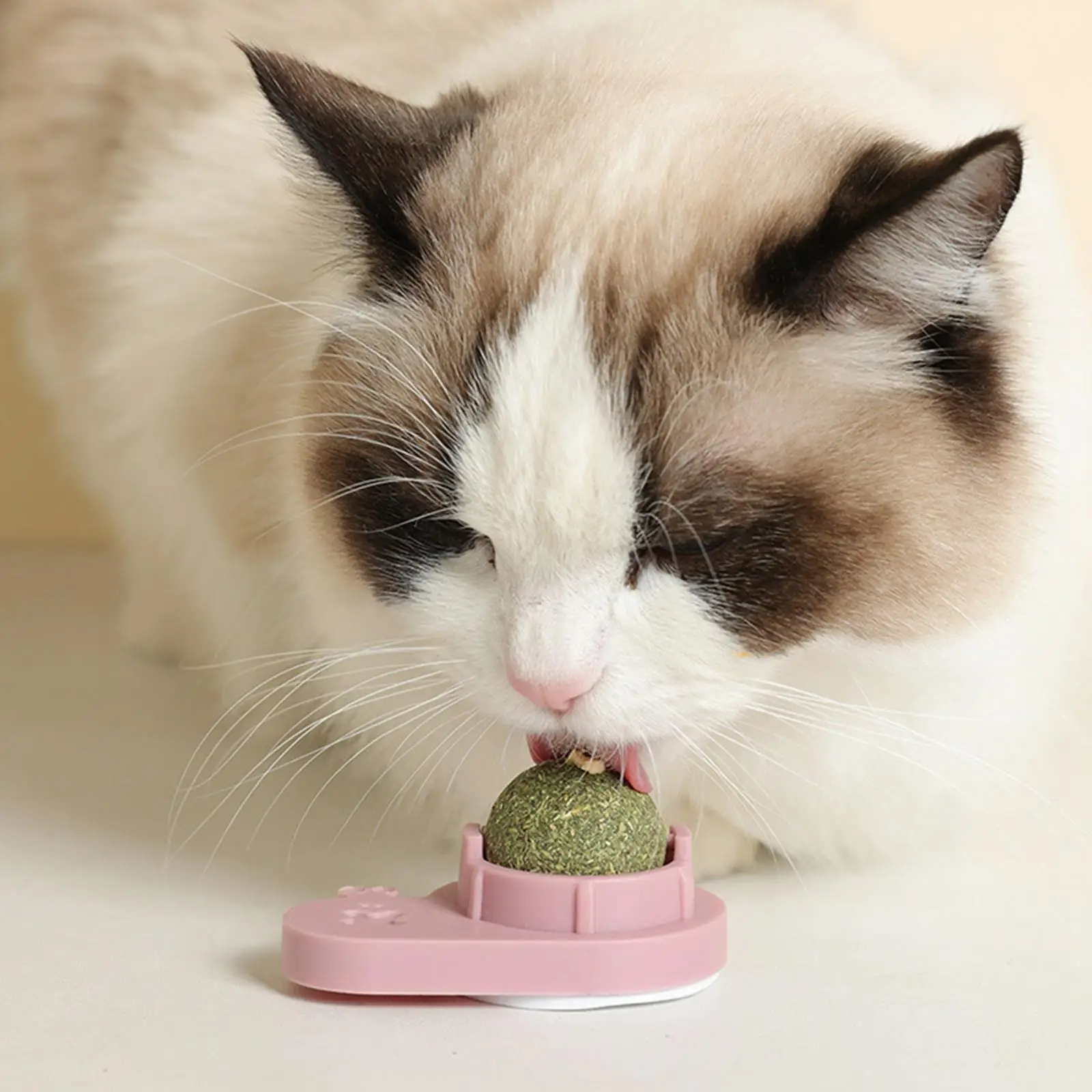Bola giratoria de catnip y menta para gatos de interior