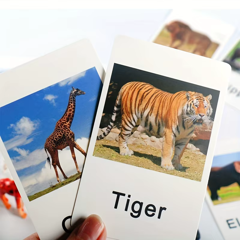 Actividades educativas con animales