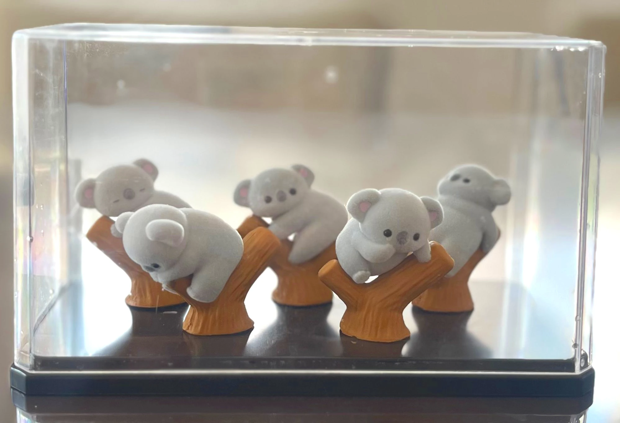 Peluche koala gris de cápsula Yell, patas cruzadas sentado tierno - imagen 5