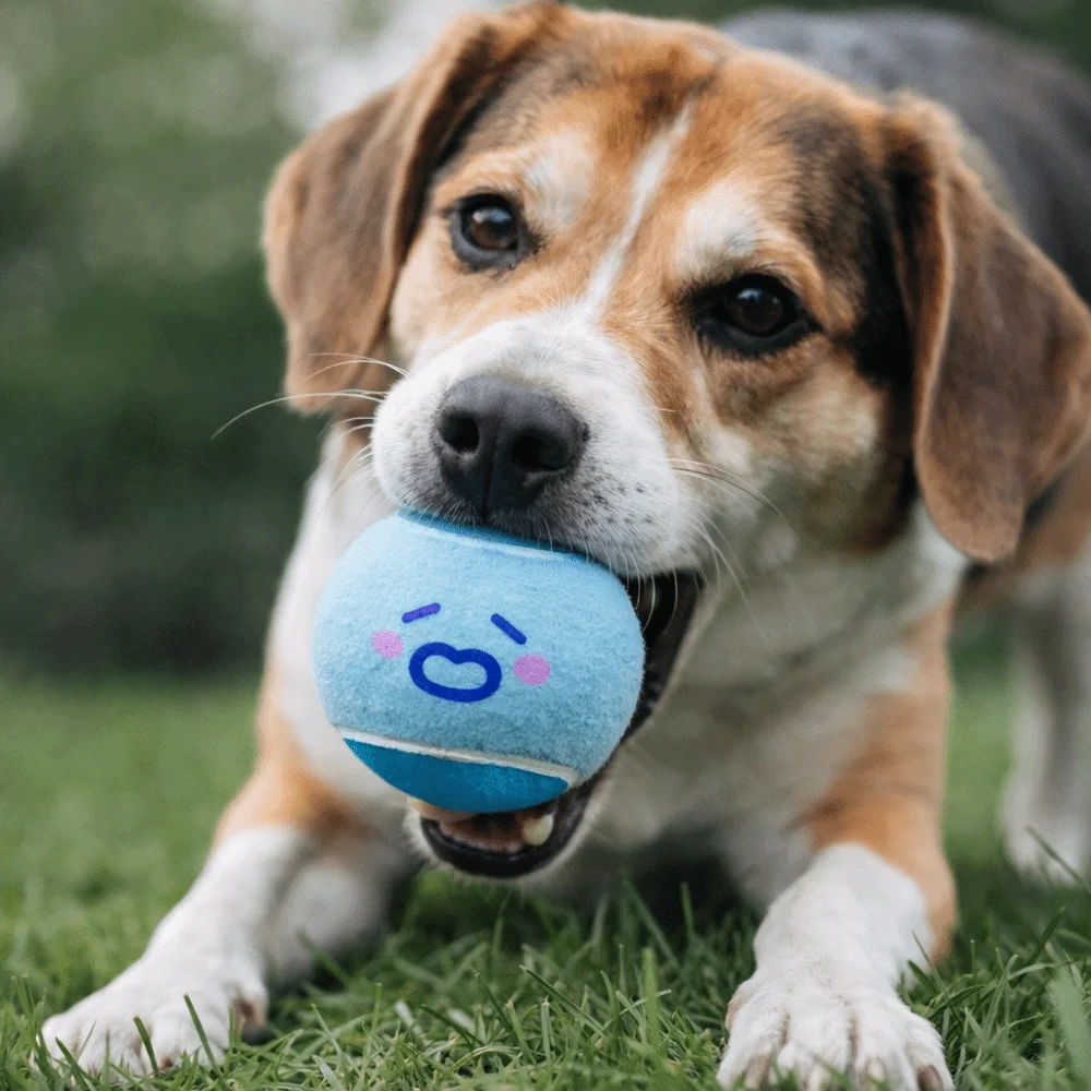 Pelotas elásticas de tenis para mascotas con sonido chirriante - imagen 4