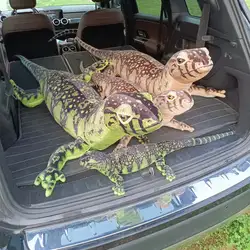 Peluche dragón Komodo realista suave y mimoso para niños