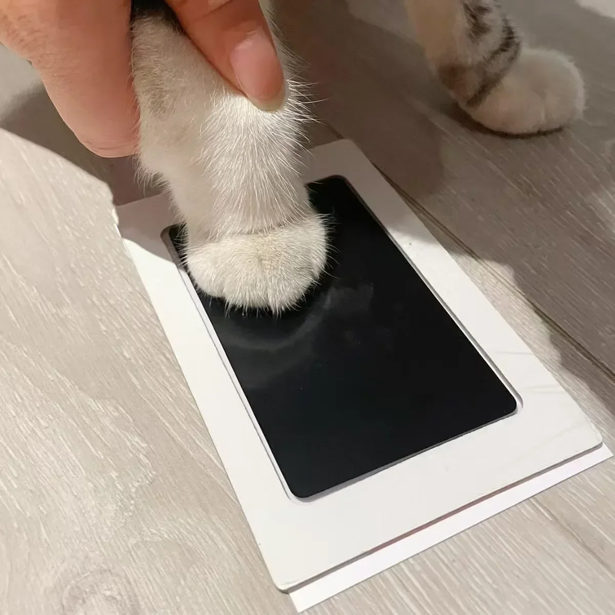 vvocci Almohadillas de tinta para huellas de bebé y mascotas recuerdos - imagen 3