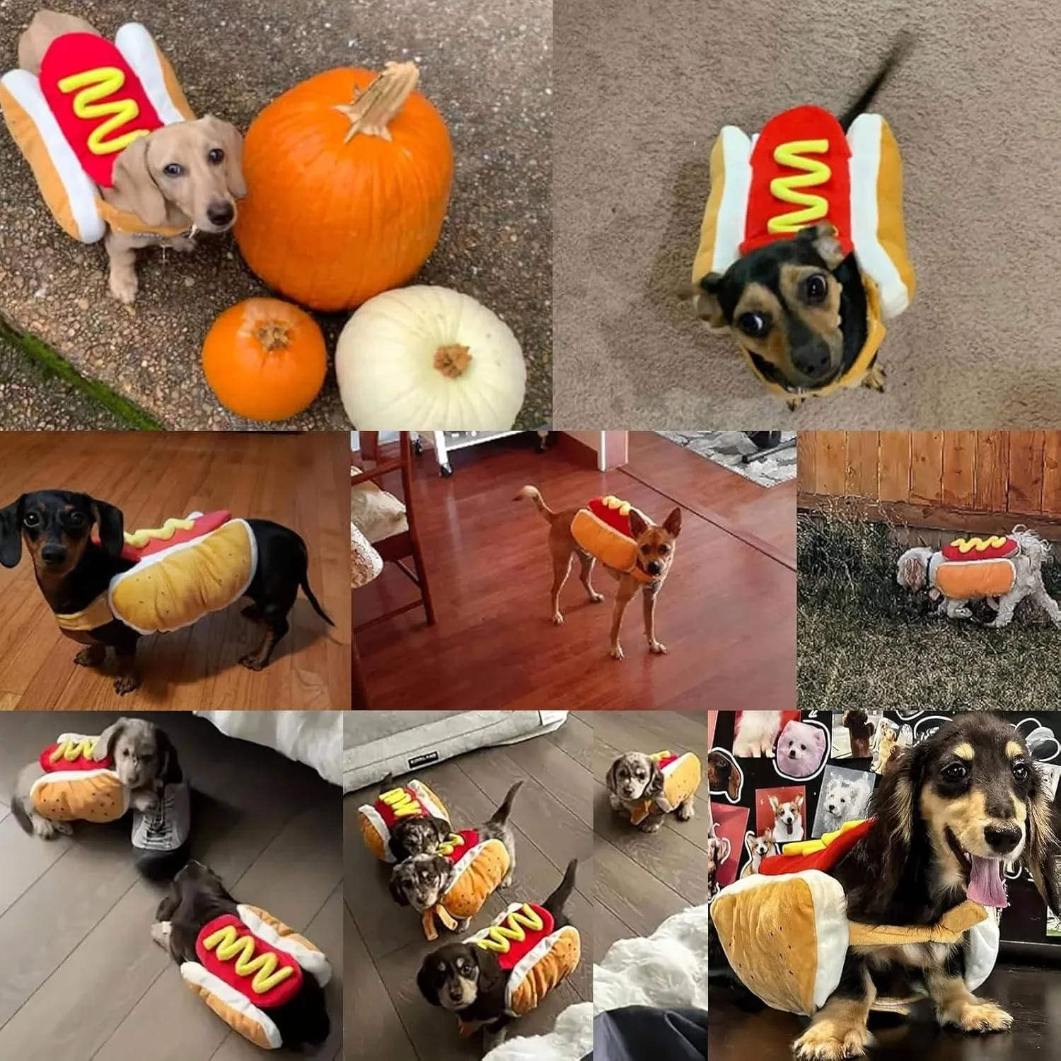 Disfraces navideños para mascotas: ropa ajustable para perros y gatos - imagen 5