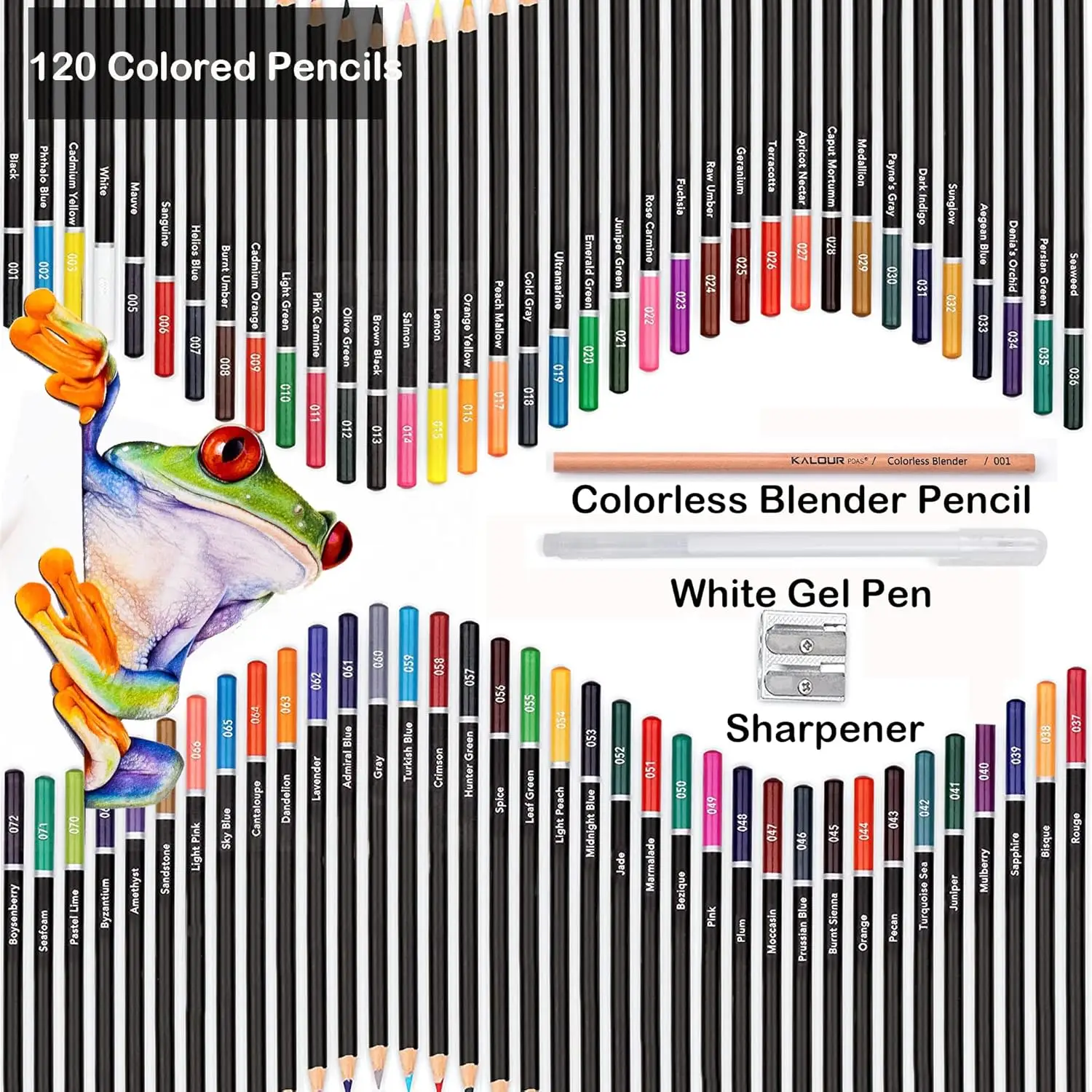 Detalle de los colores vibrantes