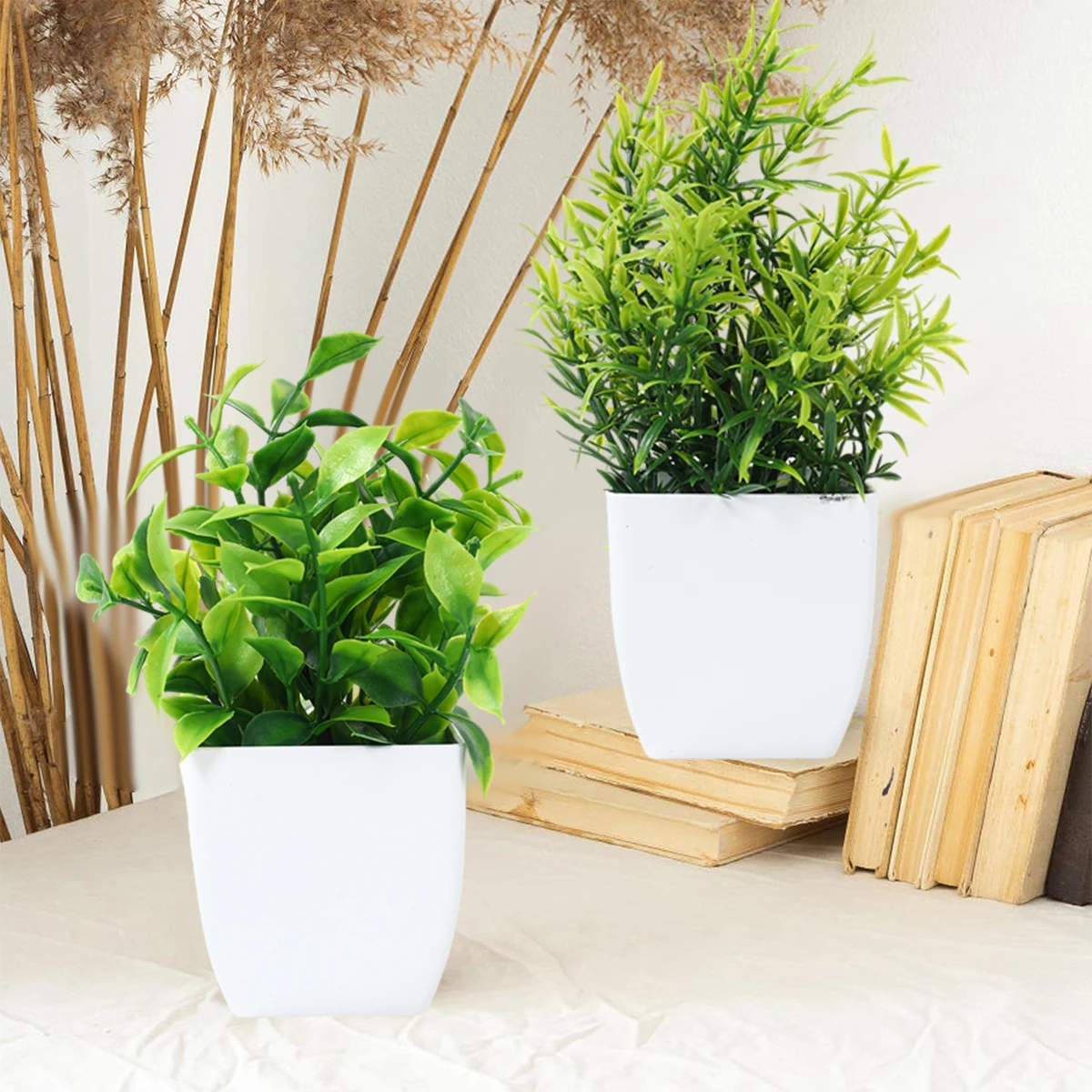 Maceta y planta
