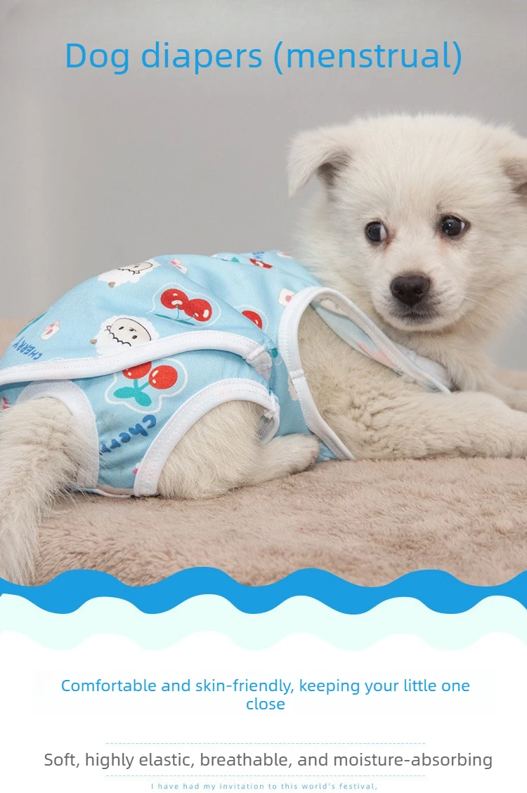 Pañales para perros en celo con estampado divertido y cómodo - imagen 5