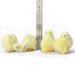 Figura de pollito Pascua peludo realista para decorar el hogar